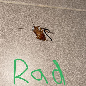 CLOSURE (feat. psychic beatz)