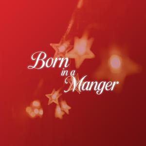 Born in a Manger