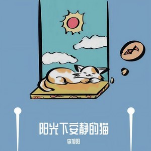 阳だまりにて和む猫