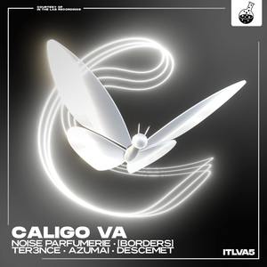 Caligo VA