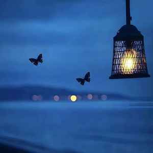 突然想起你(一个人的夜我的心应该放在哪里)