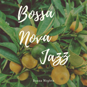 Bossa Nights