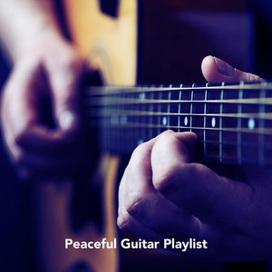 Peaceful Guitar Playlist - Concierto de Aranjuez: II. Adagio (罗德里戈：阿兰胡埃斯协奏曲：第二乐章，慢板)