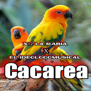 Cacarea