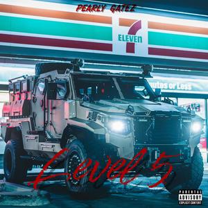 Level 5 (Explicit)