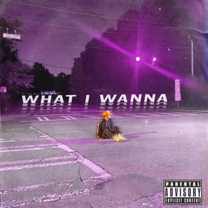 What I Wanna (feat. Jayden Lance) [Explicit]