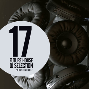 17 Future House DJ Selection Multibundle (Explicit)