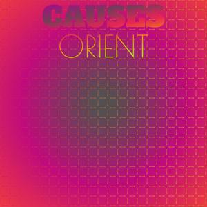 Causes Orient