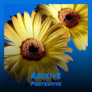 Receive Protrusive