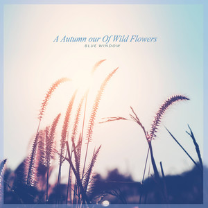 들꽃의 가을 여행 (A Autumn Tour Of Wild Flowers)