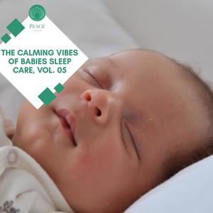 The Calming Vibes Of Babies Sleep Care, Vol. 05