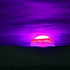 Tippin (feat. DALLI$ & Josherbihh) (Explicit)