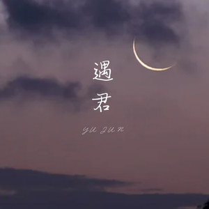 遇君封面