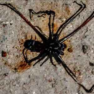 Yensek - Yeah, I Don’t Know (Explicit)