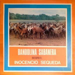 Bandolina Sabanera