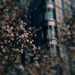 Oh my god(vocal only)(翻自 (G)I-DLE)