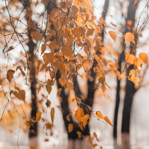 【Free】说说你的心里话 抒情 休闲 钢琴 姜云升type beat-Blueberry