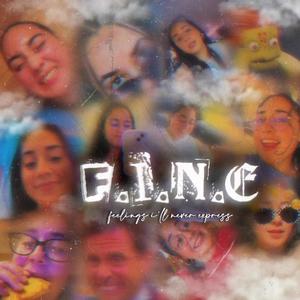 F.I.N.E