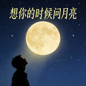 想你的时候问月亮