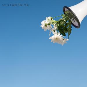 Never Ended That Way