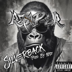 סילברבק (Explicit)