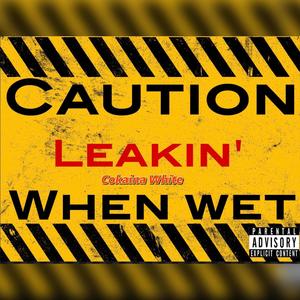 Leakin' (Explicit)