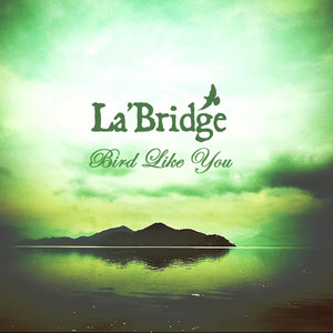 Bird Like You