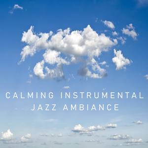 Calming Instrumental Piano Music Vibes