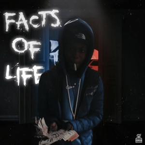 FACTS OF LIFE (Explicit)