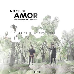 No se de amor (feat. tivi gunz) [Explicit]