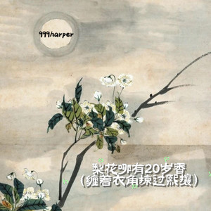 梨花哪有20岁香(缠着衣角掠过熙攘)