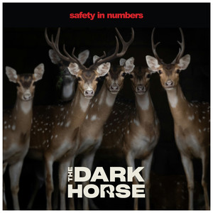 Safety In Numbers