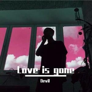 SLANDER-Love is gone (Devil remix)