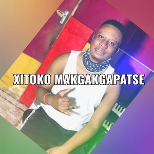 Xitoko Makgakgapatse (feat. Tihosi Ta Mindzhumbha)