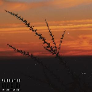 I Don't Wanna Break Your Heart (Explicit)