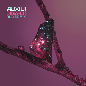 Diga-li! Dub Remix (Paolo Baldini DubFiles Version)