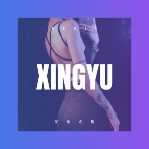 管俊名 - 星语心愿 (DJ版)