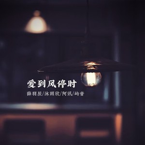 荆棘里的花封面