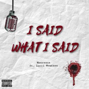 I Said What I Said (feat. Lucci Montana) [Explicit]