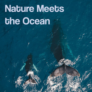 Mountain Rain Meets Ocean