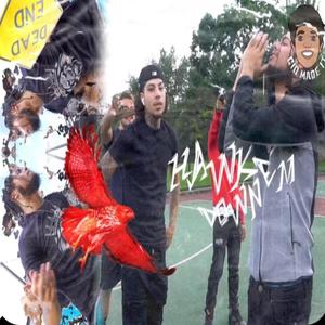 Hawk Em Down (feat. Aj2Timez) (Explicit)