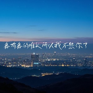 各有各的难处 所以我不怨你了