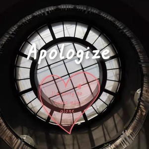 Apologize (remix: OneRepublic)