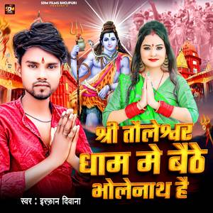 Shree Tauleswar Dham Me Baite Bholenath Hai