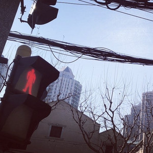 shall we talk-喵喵不会困