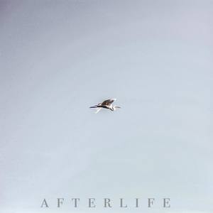 Afterlife