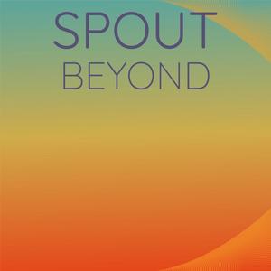 Spout Beyond