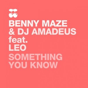 Something You Know (Richard Grey Pacha Dub Remix|Remix)