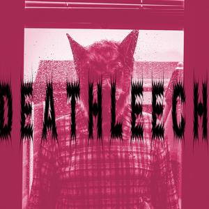 Animal (old version)