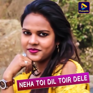 Neha Toy Dil Toir Dale